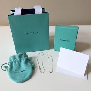 Tiffany & Co. Elsa Peretti Single Diamond Pendant in Sterling Silver